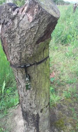Ein Scharnier an einem Baumstumpf? Ob da wohl ein Cache drin ist? Ein Scharnier an einem Baumstumpf? Ob da wohl ein Cache drin ist?