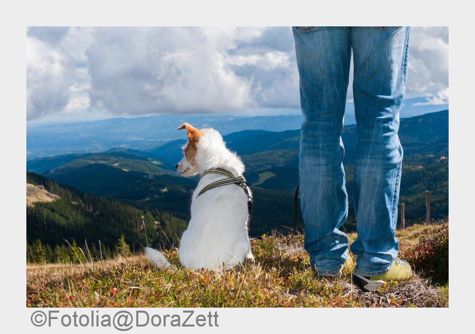 Hundefreundliche Wanderrouten inkl. Hotels, Hütte oder Ferienhaus jetzt auf hunde-urlaub.net (Bildqu