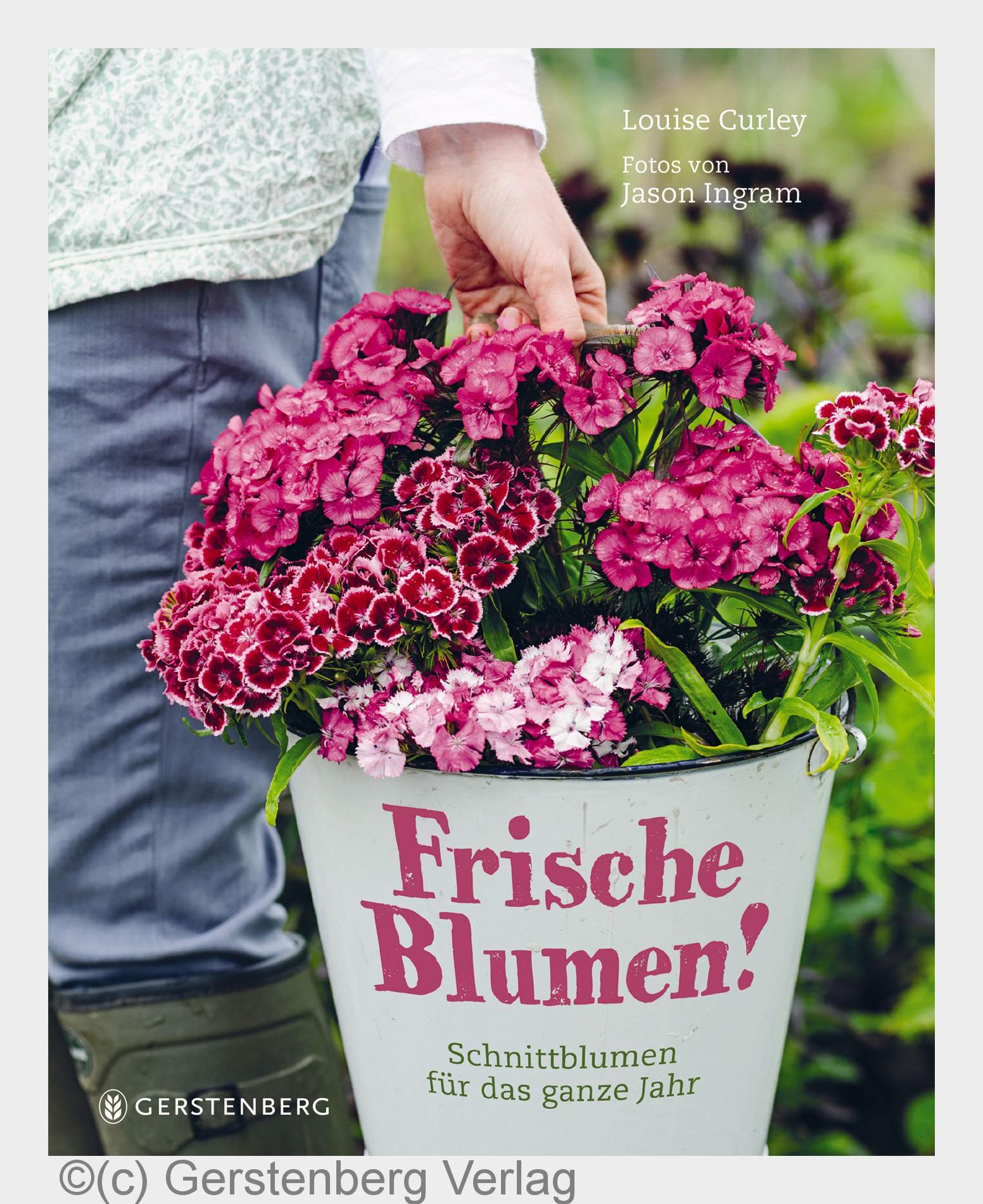 (Bildquelle: (c) Gerstenberg Verlag) (Bildquelle: (c) Gerstenberg Verlag)