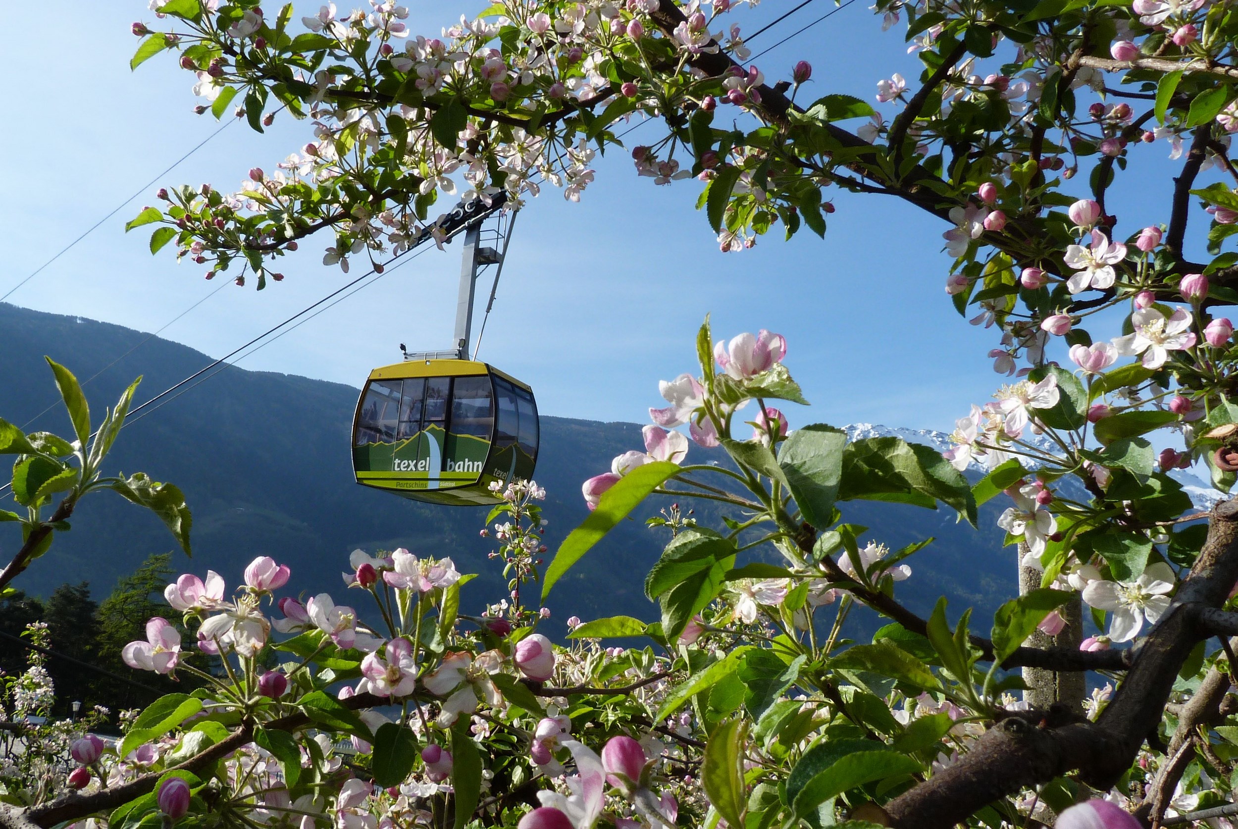 Frühling in Südtirol ? Familienaparthotel Heidi in Rabland bei Meran Frühling in Südtirol ? Familienaparthotel Heidi in Rabland bei Meran