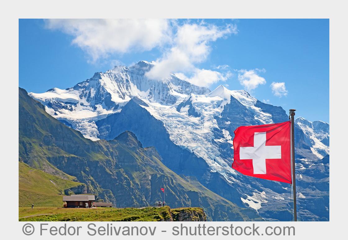 (Bildquelle:©Fedor Selivanov - shutterstock.com) (Bildquelle:©Fedor Selivanov - shutterstock.com)
