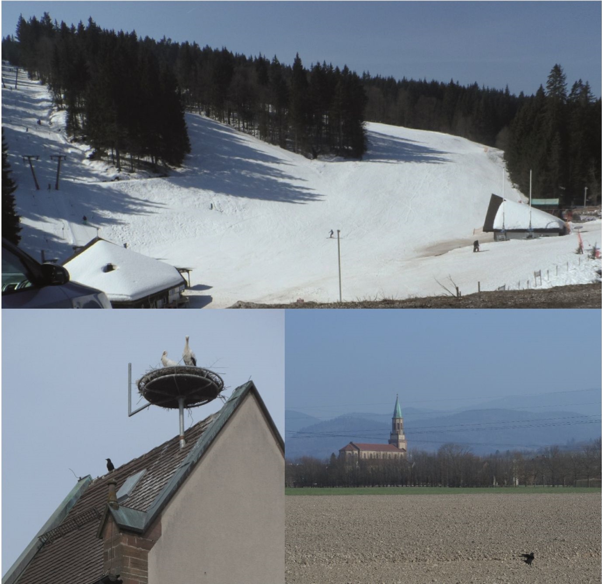 Auf den Schwarzwaldhöhen Schnee, in den Tälern frühlingshaft. (Bildmontage: presseweller) Auf den Schwarzwaldhöhen Schnee, in den Tälern frühlingshaft. (Bildmontage: presseweller)