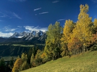 Buntes Farbspiel der Natur und den Blick auf die Berge.