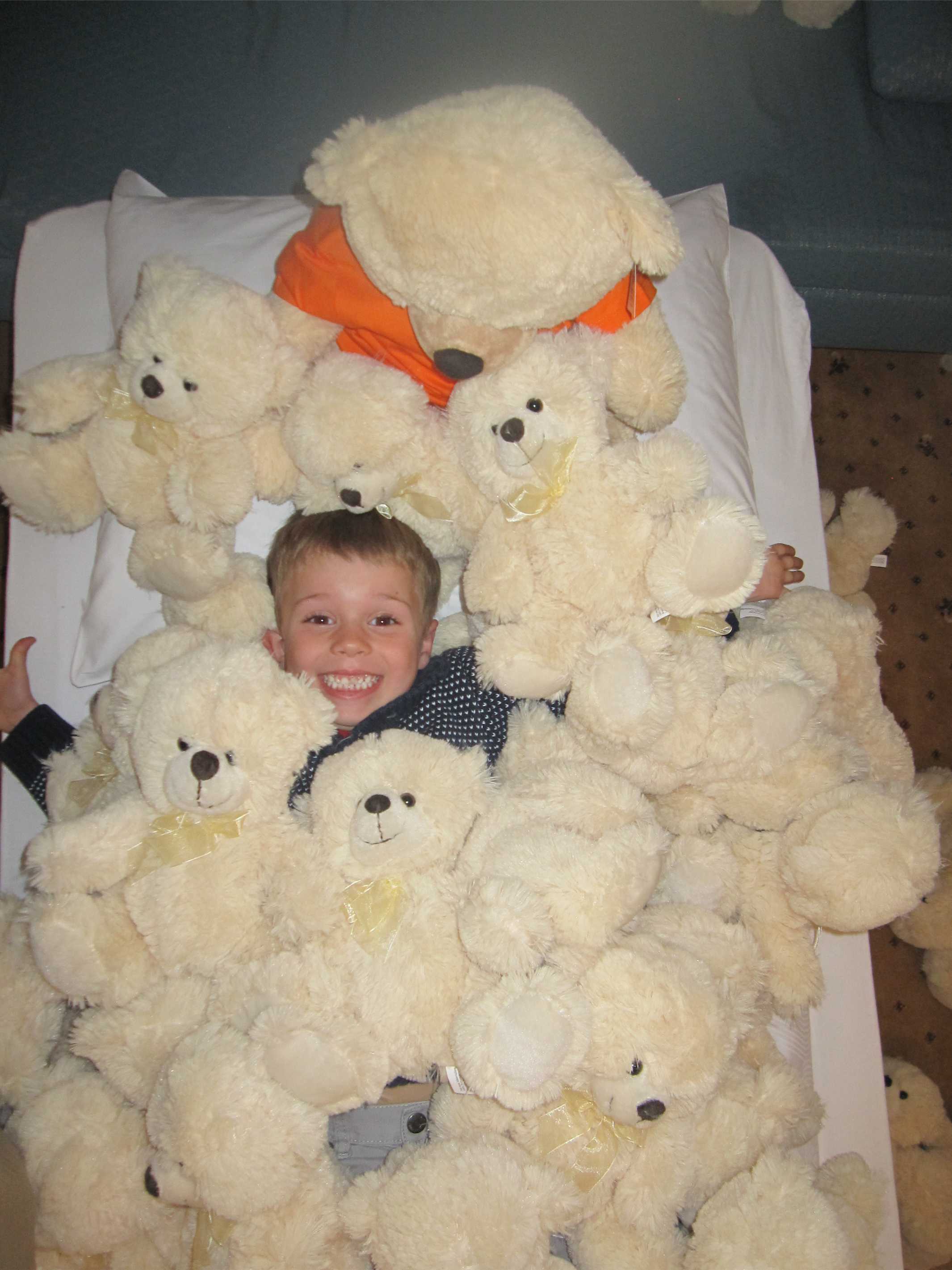 Grausam werden die Kinder der Hotelgäste von der Teddybärenbande im 100 Bären Zimmer festgehalten. G