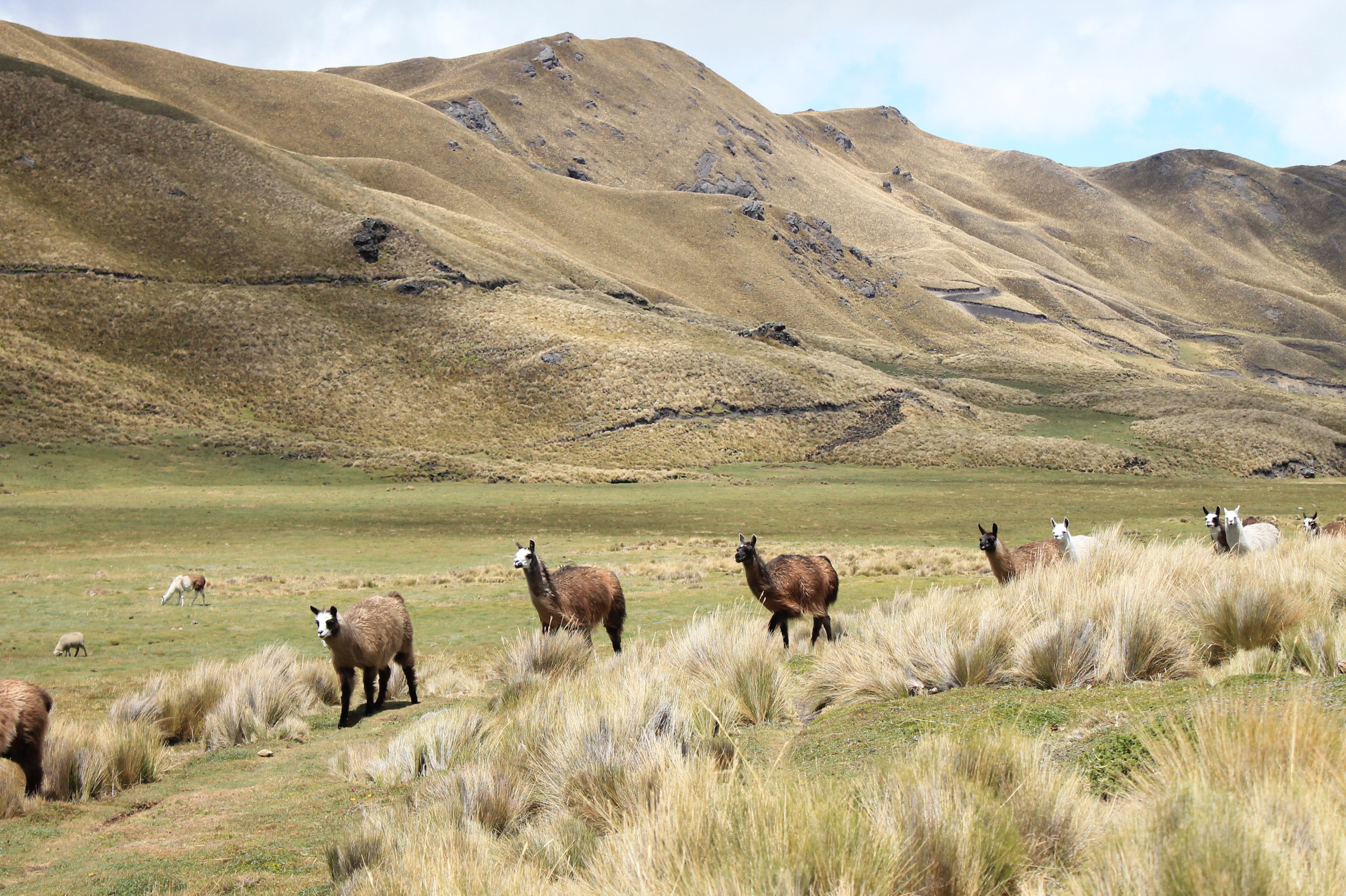 Ecuador Rundreise durch die Anden
