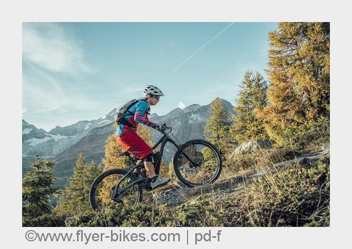 (Bildquelle: www.flyer-bikes.com | pd-f)