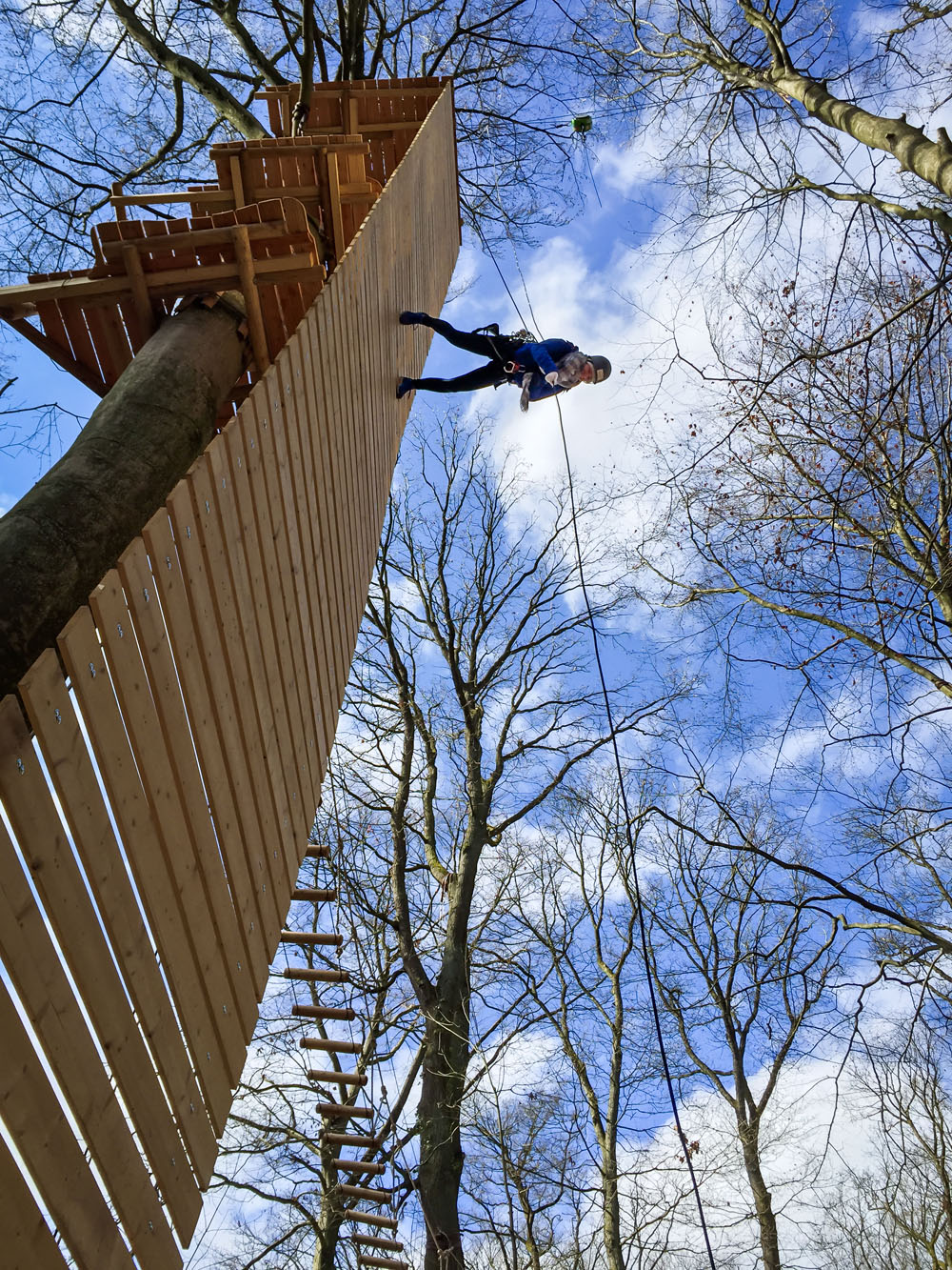 Treerunning - die neue Attraktion in den Kletterwäldern Sayn und Hennef