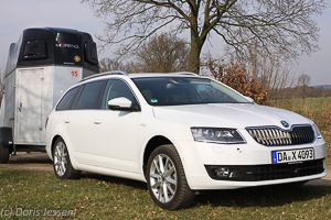 Pferdeanhänger-Zugfahrzeug?koda Octavia Combi L&K 2,0 TDI auf Mit-Pferden-reisen.de Pferdeanhänger-Zugfahrzeug?koda Octavia Combi L&K 2,0 TDI auf Mit-Pferden-reisen.de