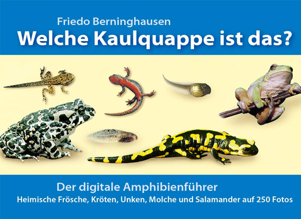 Welche Kaulquappe ist das? ? Amphibienführer von Friedo Berninghausen