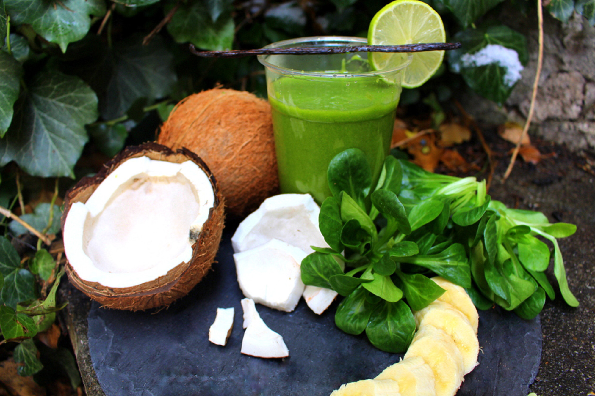 Coconut Dream
