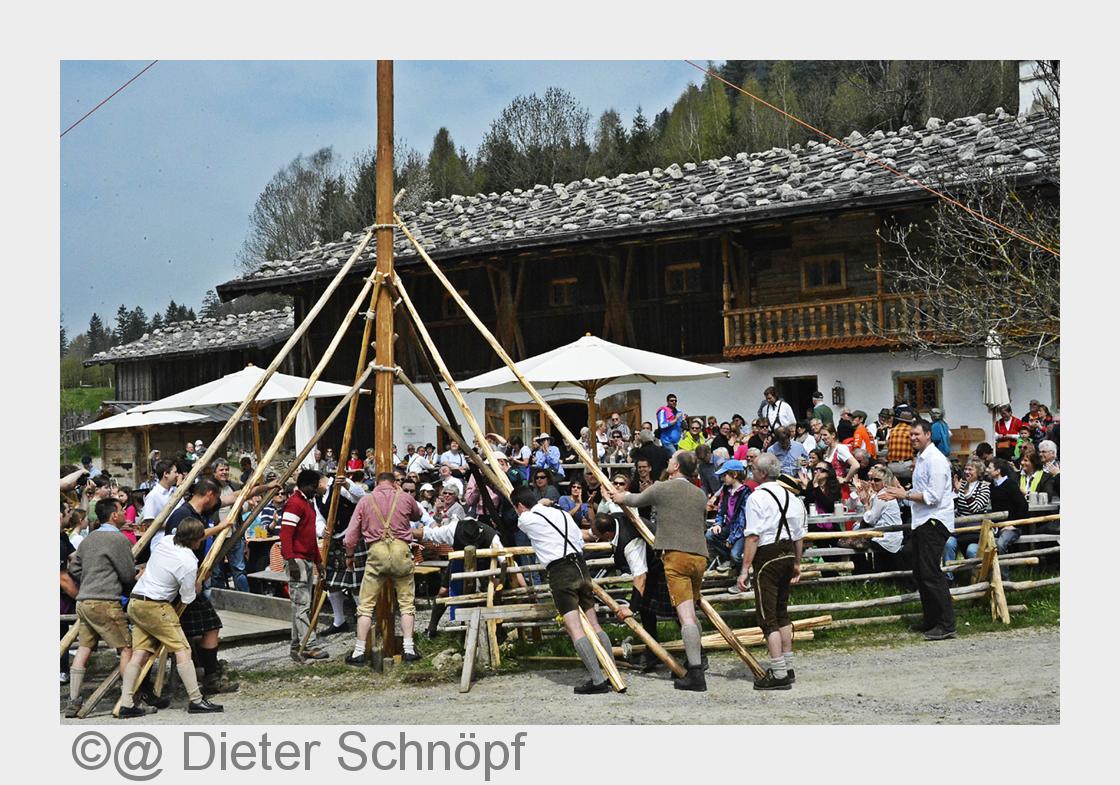 Bayerns bestbewachter Maibaum im Markus Wasmeier Freilichtmuseum Schliersee (Bildquelle: @ Dieter Sc