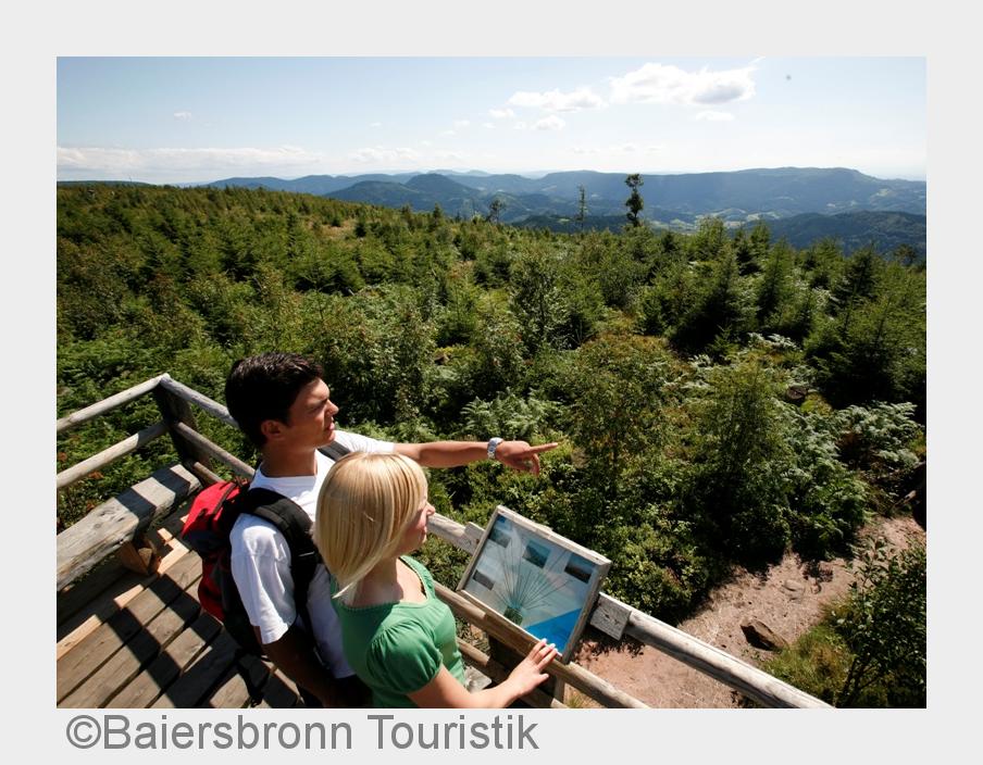 Eigens angelegte Plattformen bieten wunderbare Aussichtenüber den Wanderhimmel Baiersbronn. (Bildque