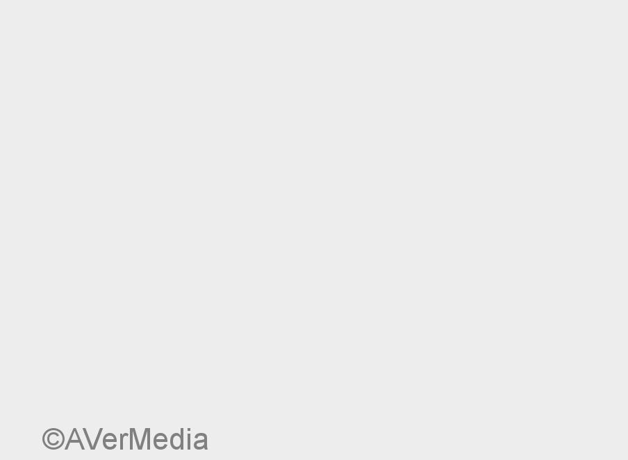 AVerTV Mobile 510 (Bildquelle: AVerMedia)