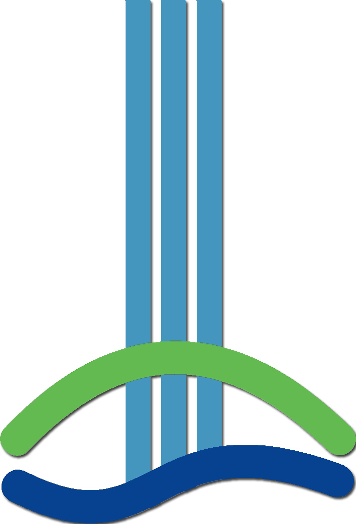 Logo Orgelbau Schulte