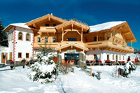 Seealm im Winter
