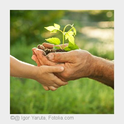 (Bildquelle: @ Igor Yaruta, Fotolia.com)