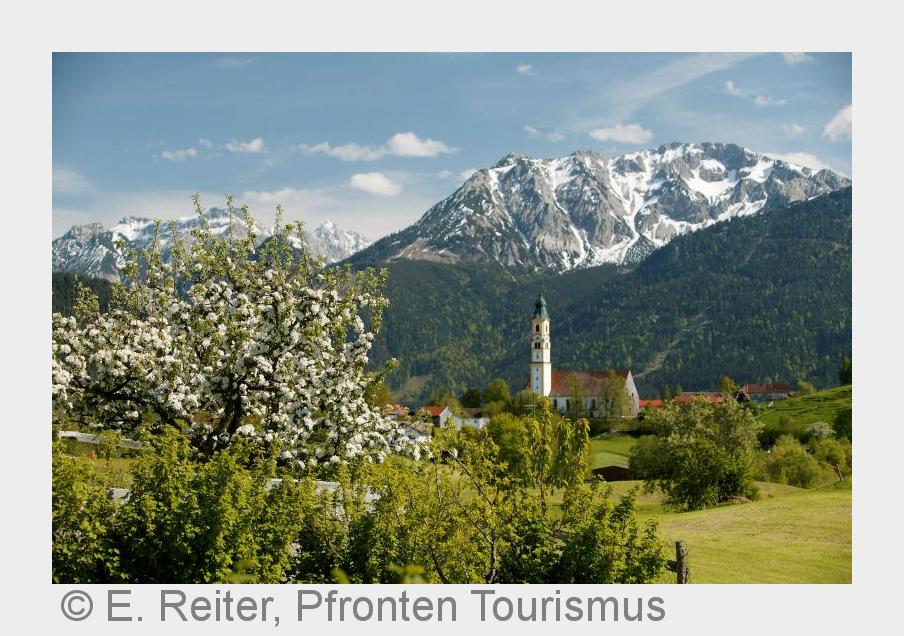 Tal im Frühling (Bildquelle:©E. Reiter, Pfronten Tourismus)