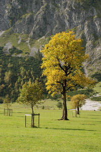 Wandern am Ahornboden in Österreich Wandern am Ahornboden in Österreich