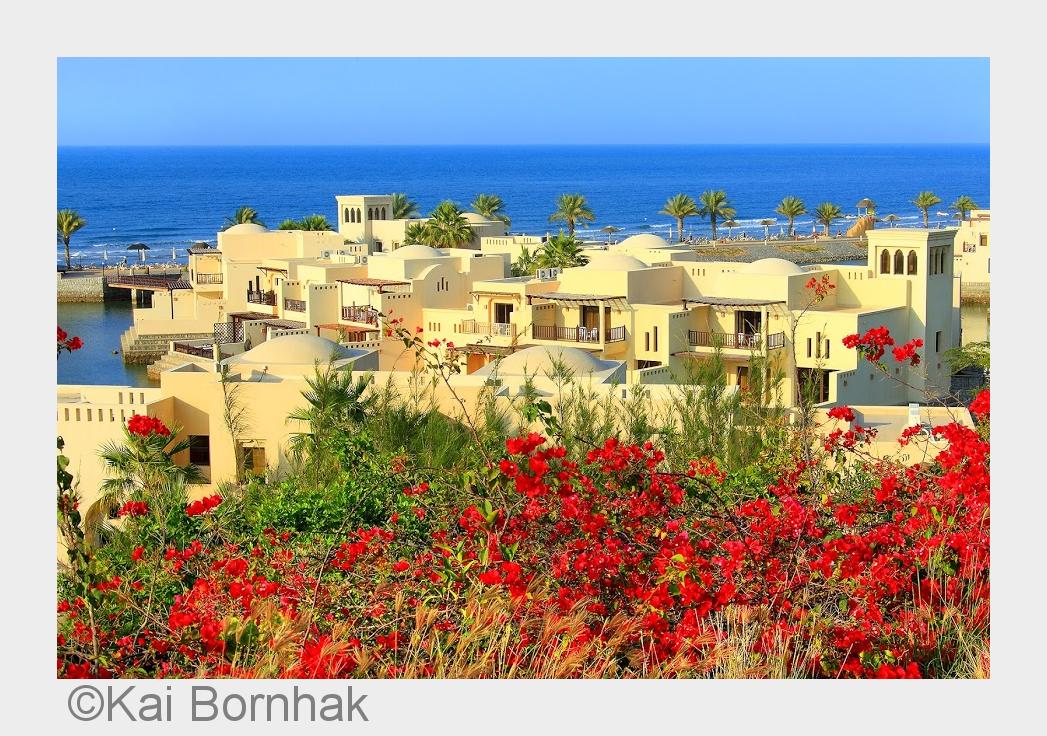 The Cove Rotana Resort - Ras al Khaimah - VAE (Bildquelle: Kai Bornhak) The Cove Rotana Resort - Ras al Khaimah - VAE (Bildquelle: Kai Bornhak)