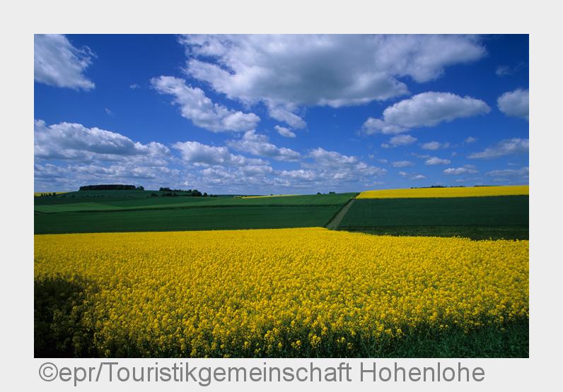 Im Hohenloher Land springen einem viele Naturphänomene ins Auge. (Bildquelle: epr/Touristikgemeinsch