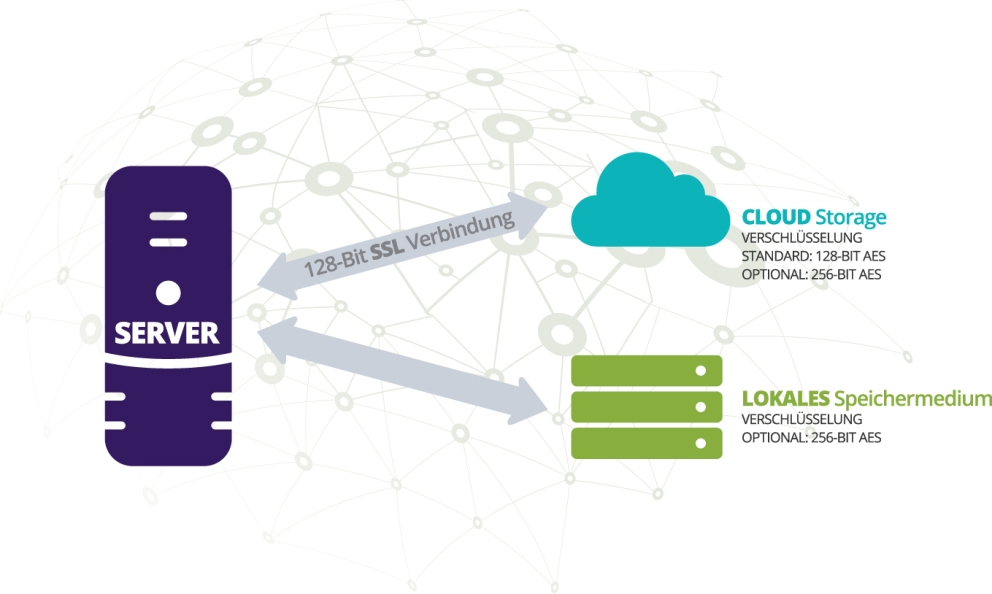 Hybride Datensicherung mit Carbonite Server Backup