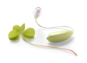 Oticon Tinnitus SoundSupport (Bildquelle: Oticon) Oticon Tinnitus SoundSupport (Bildquelle: Oticon)