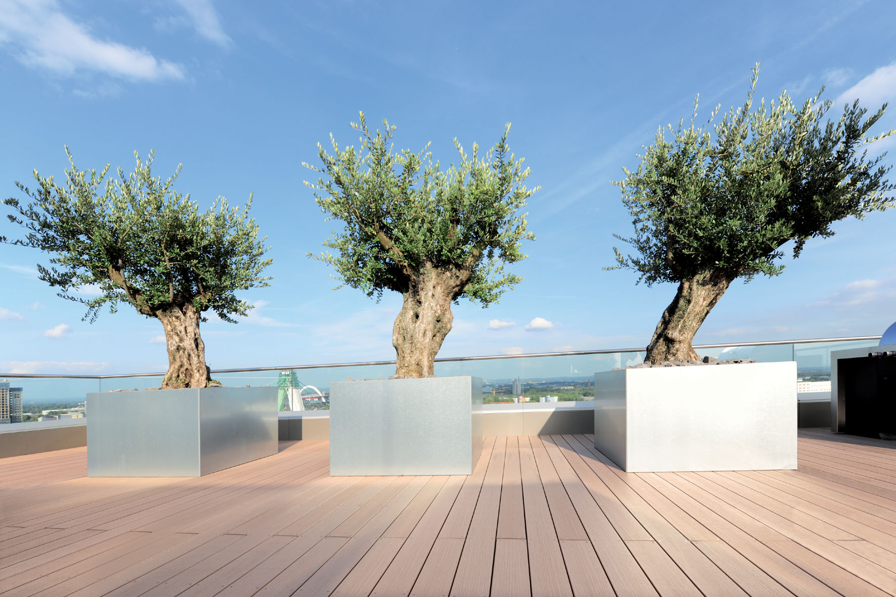 Blickfang auf der Terrasse sind drei Olivenbäume in Edelstahlpflanzkästen der Firma Richard Brink.
