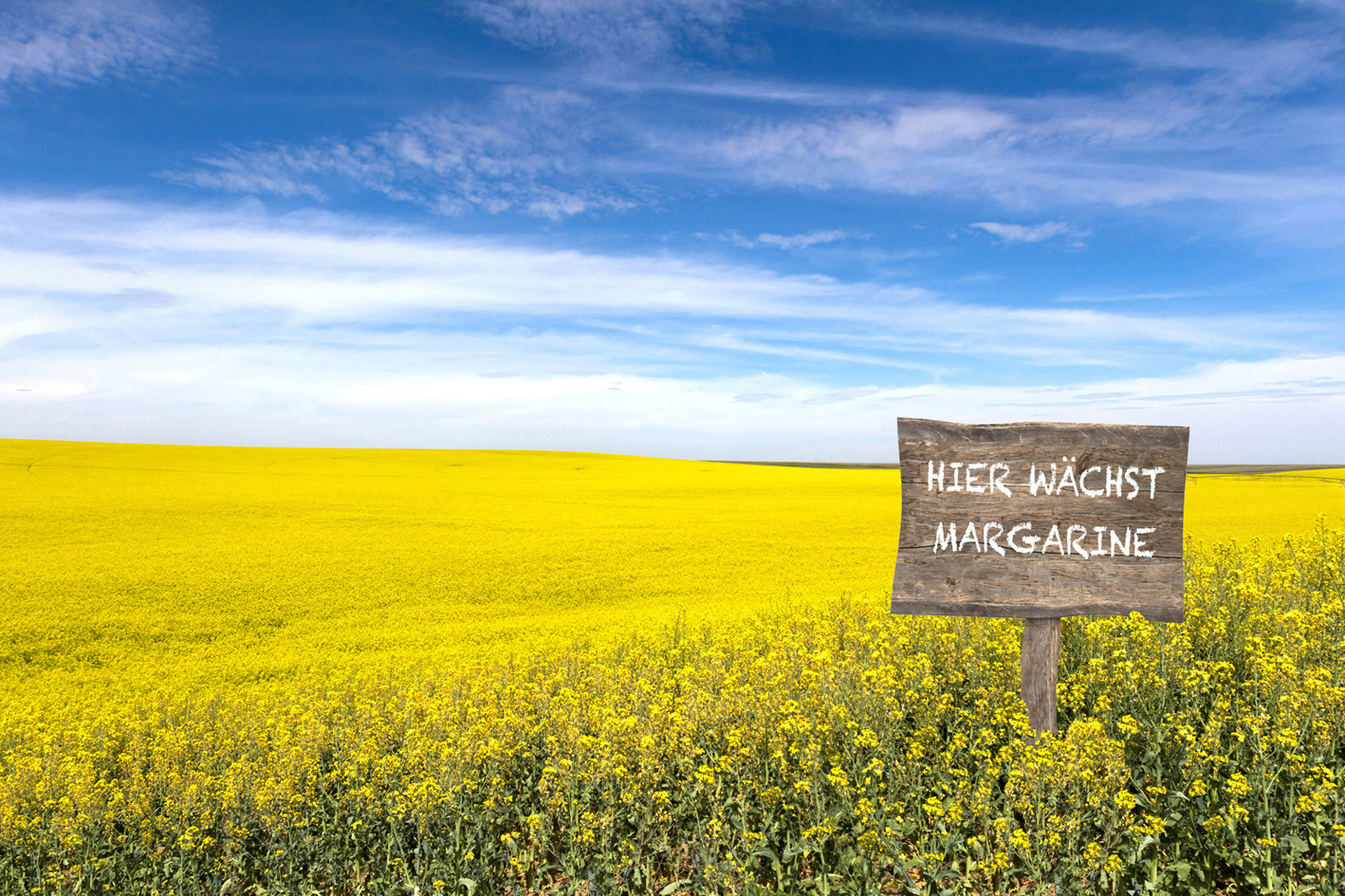 Auf deutschen Feldern wächst nicht nur Raps?hier wächst Margarine! Auf deutschen Feldern wächst nicht nur Raps?hier wächst Margarine!