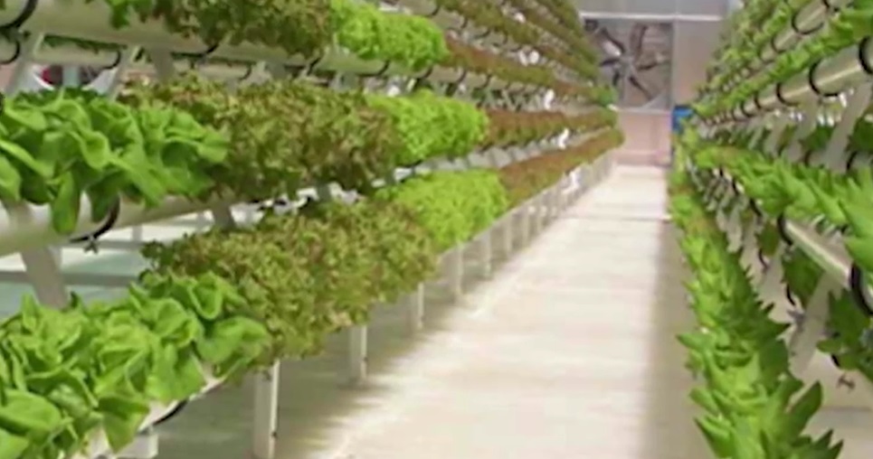 Eco Energy Tech Asia Ltd.