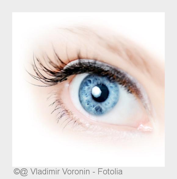 (Bildquelle: @ Vladimir Voronin - Fotolia)