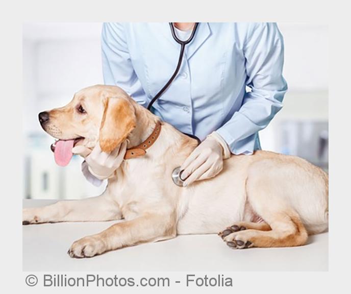 Spezialisiert auf Hautprobleme: Praxis Dr. Haberkern (Bildquelle:©BillionPhotos.com - Fotolia) Spezialisiert auf Hautprobleme: Praxis Dr. Haberkern (Bildquelle:©BillionPhotos.com - Fotolia)