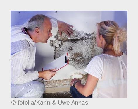 Von Schimmelpilzen gehen gesundheitliche Gefahren aus. (Bildquelle:©fotolia/Karin& Uwe Annas) Von Schimmelpilzen gehen gesundheitliche Gefahren aus. (Bildquelle:©fotolia/Karin& Uwe Annas)
