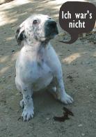 stubenrein.net stubenrein.net
