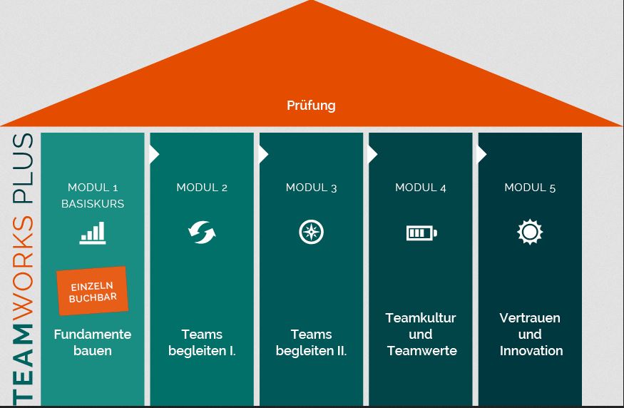 TeamworksPLUS®Ausbildung für Teamentwicklung