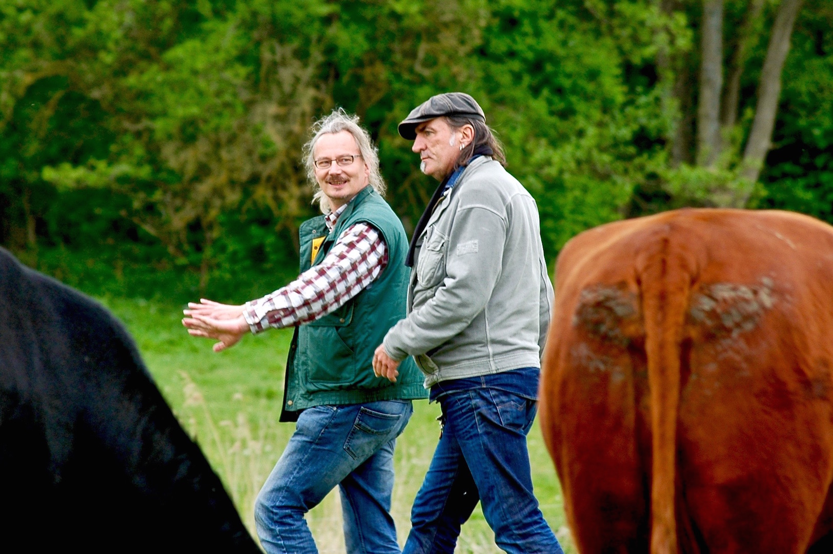 Andreas Hoppe und Wilhelm Schaekel beim Kuhfluestern Andreas Hoppe und Wilhelm Schaekel beim Kuhfluestern