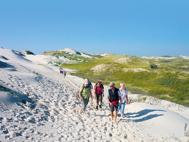 Deichwanderung auf Amrum Deichwanderung auf Amrum