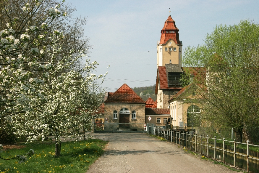 Lebensraum für (bedrohte) Tier- und Pflanzenarten: Cotonea-Firmengelände