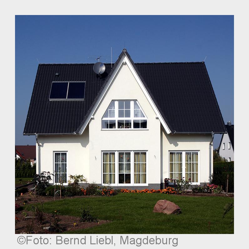 Haus gebaut und in der Falle (Bildquelle: Foto: Bernd Liebl, Magdeburg) Haus gebaut und in der Falle (Bildquelle: Foto: Bernd Liebl, Magdeburg)