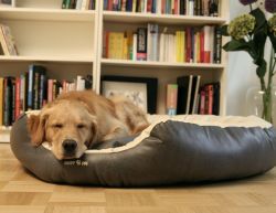 SLEEPY DOG Hundebett Donut