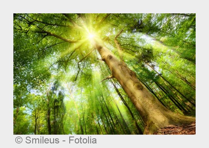 Die positiven Eigenschaften des Lichts nutzt Dr. med. Karl Läuger. (Bildquelle:©Smileus - Fotolia)