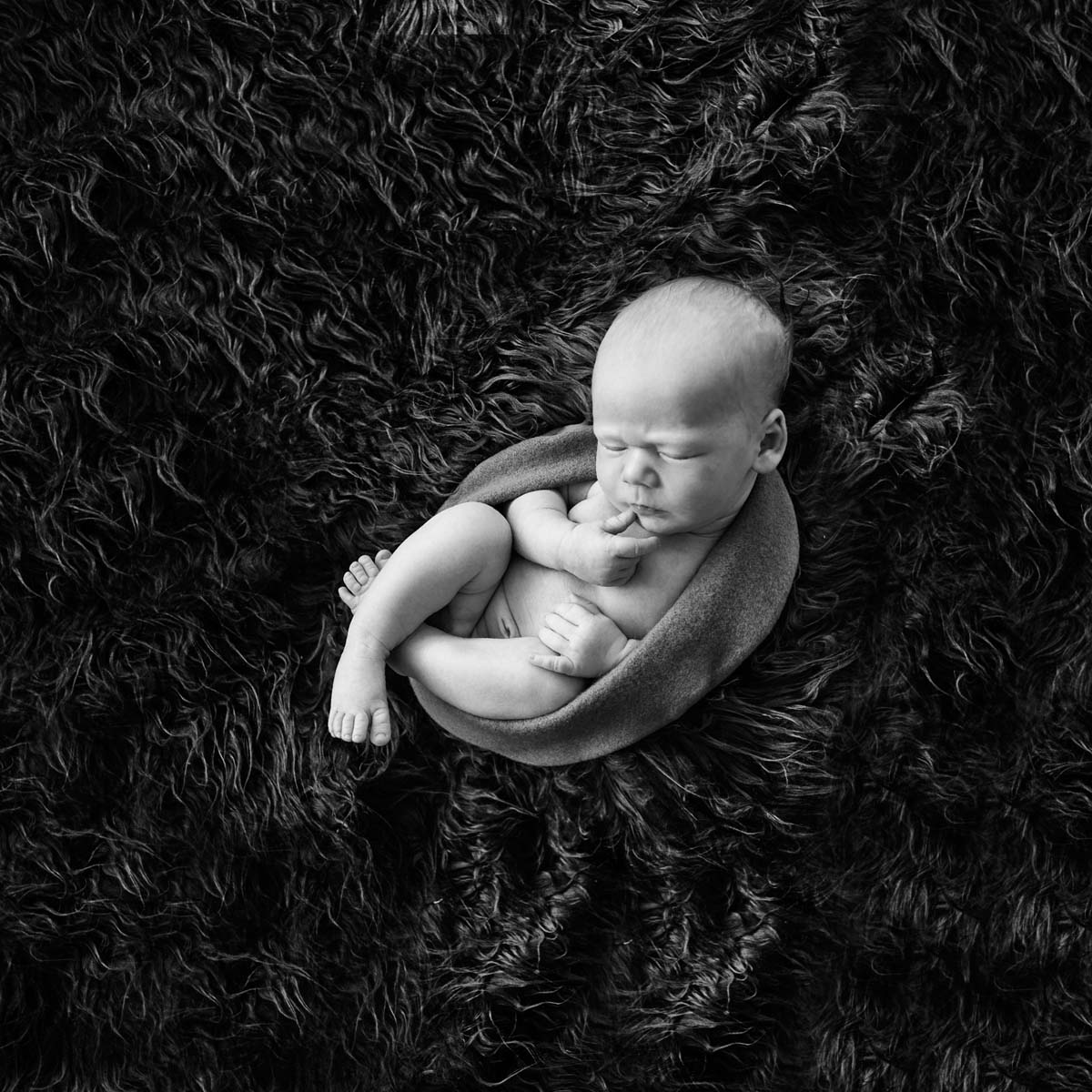 Baby Fotoshooting @ lightplay Fotostudio Baby Fotoshooting @ lightplay Fotostudio