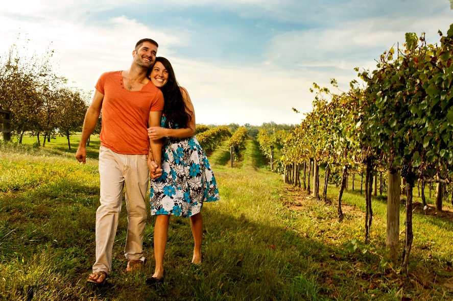 In den Weinbergen in Loudoun County