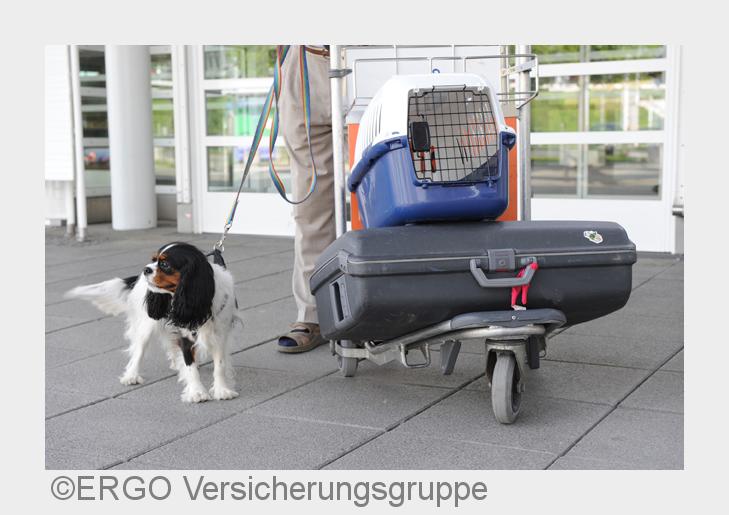 Verreisen mit Haustieren (Bildquelle: ERGO Versicherungsgruppe)