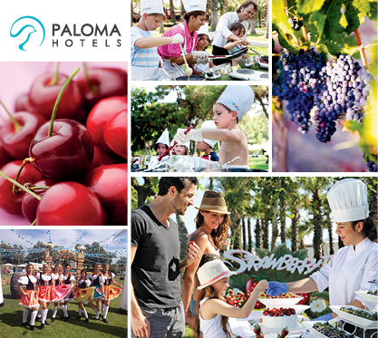 Paloma Food Festival 2015!