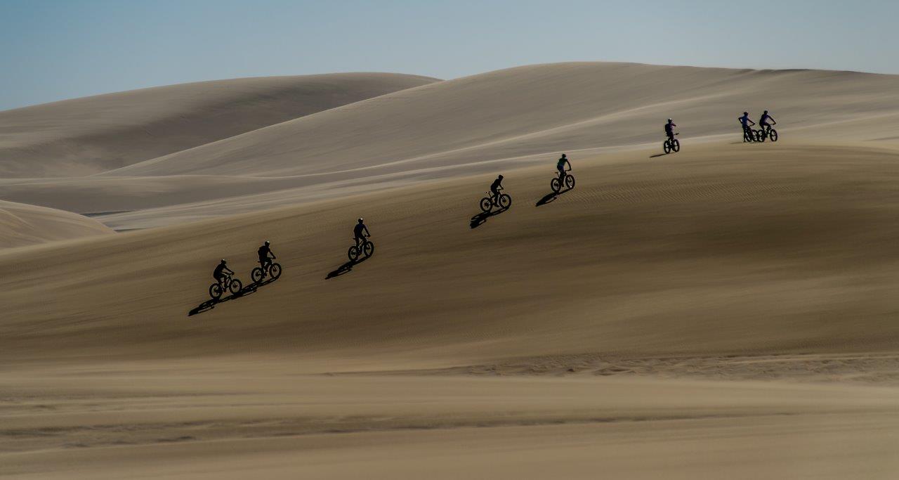 Dicke Reifen und Freude an der Natur machen eine Fatbike-Safari zum einzigartigen Erlebnis