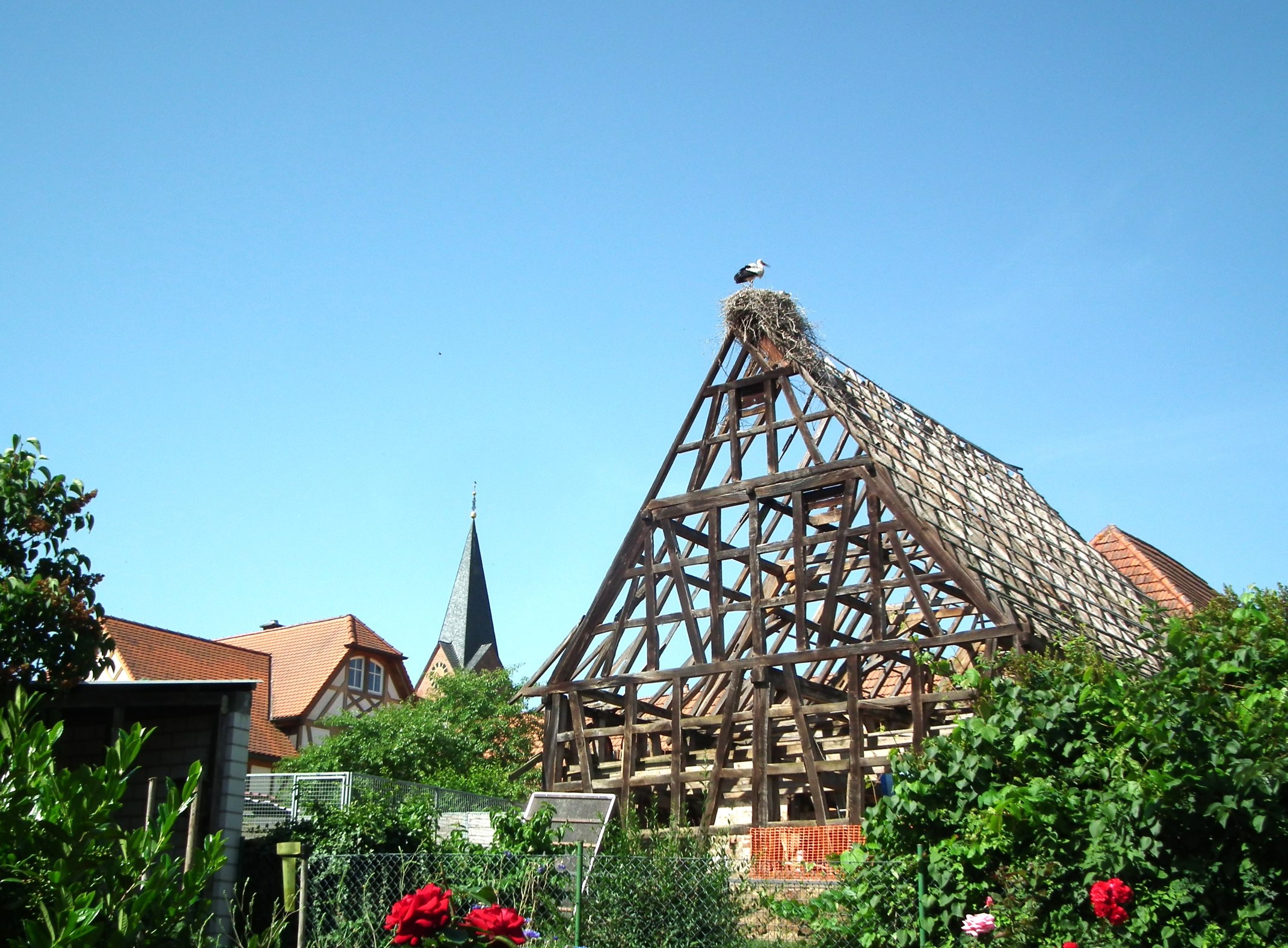 Bei Radausflügen zu Störchen mit genussradel-pfalz sind originelle Storchennester zu sehen Bei Radausflügen zu Störchen mit genussradel-pfalz sind originelle Storchennester zu sehen