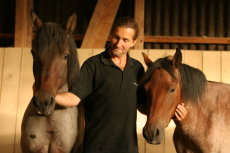 Hans-Jürgen Neuhauser mit seinen Mustangs