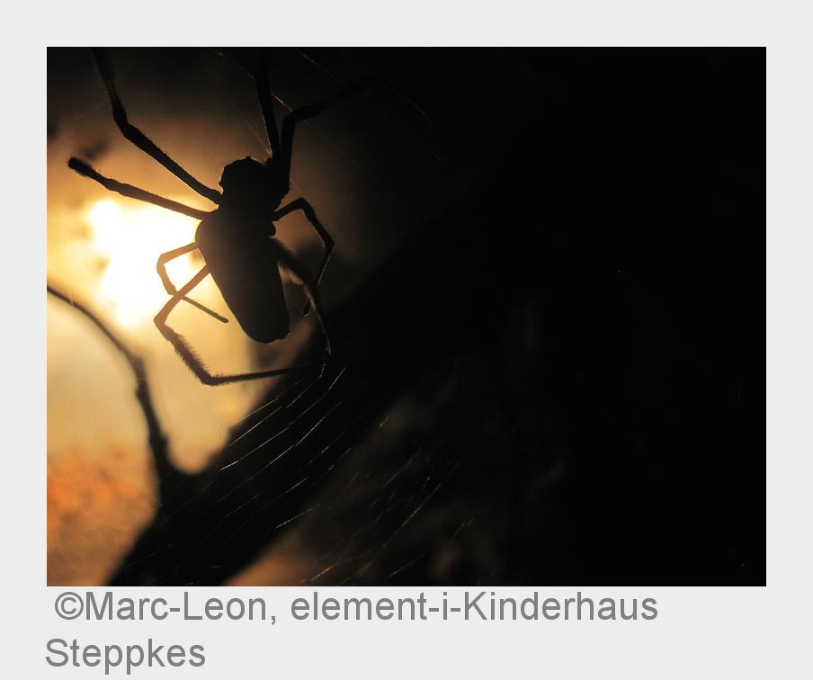 Mit diesem Bild gewann Marc-Leon aus dem element-i-Kinderhaus Steppkes den 1. Preis. (Bildquelle: Ma