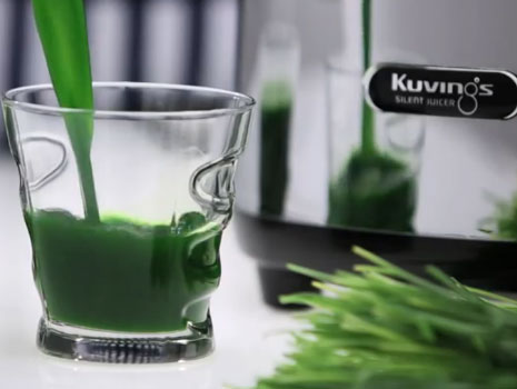 Kuvings Whole Slow Juicer