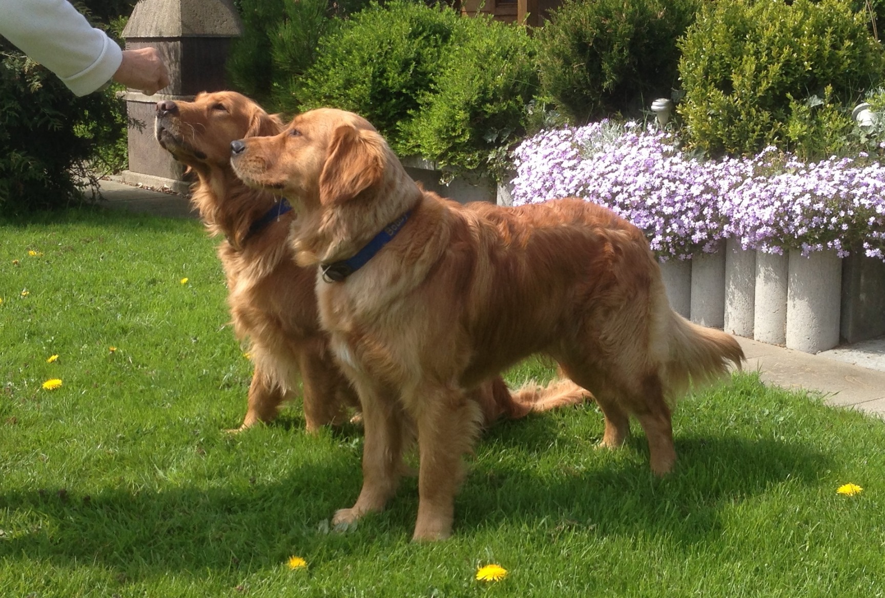 Kommunikation oder Verführung?